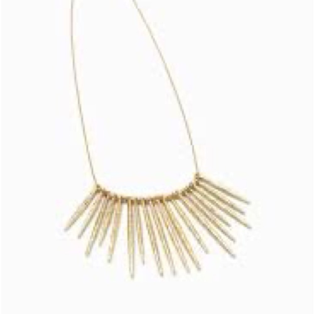 Stella & Dot Kari Fringe necklace